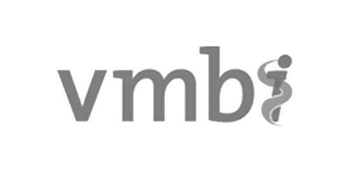 vmbi-ram-infotechnology-cure-partner